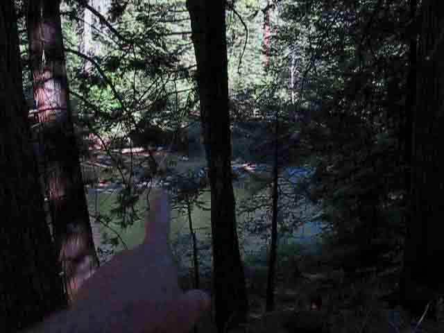 Camp Irene ford in the Stanislaus National Forest.